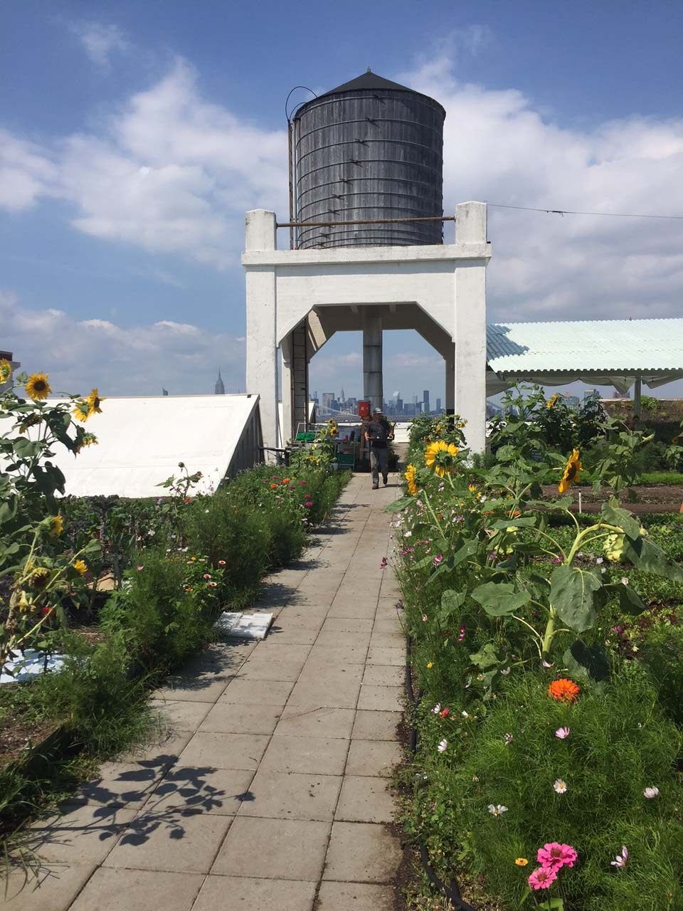 Brooklyn Grange Rooftop